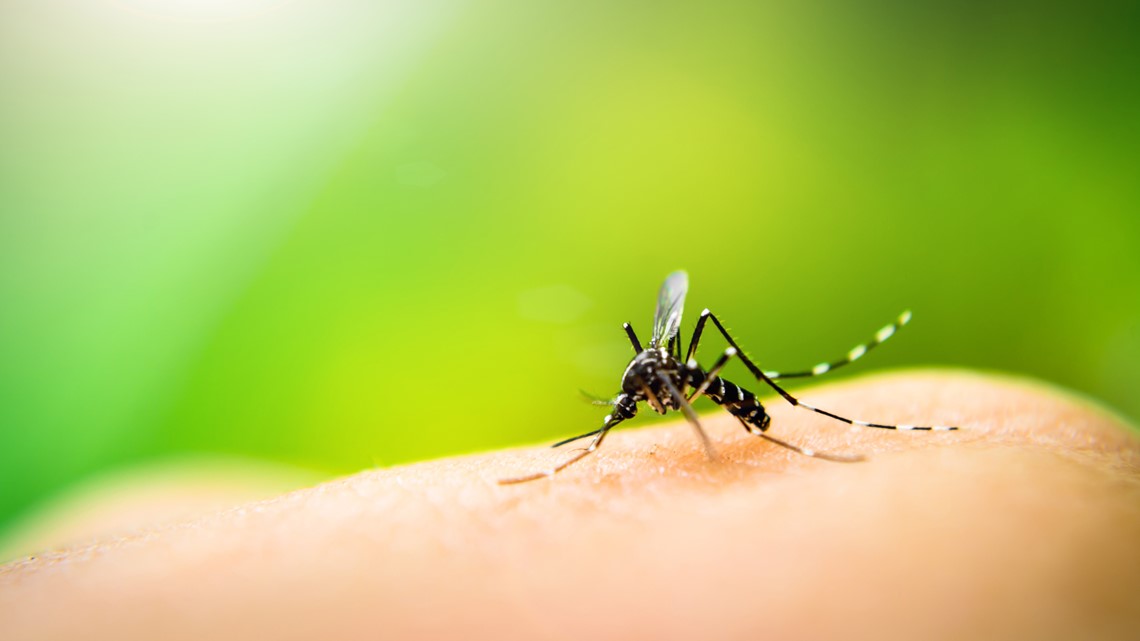 West Nile fever detected in mosquitoes in St. Charles County, Missouri