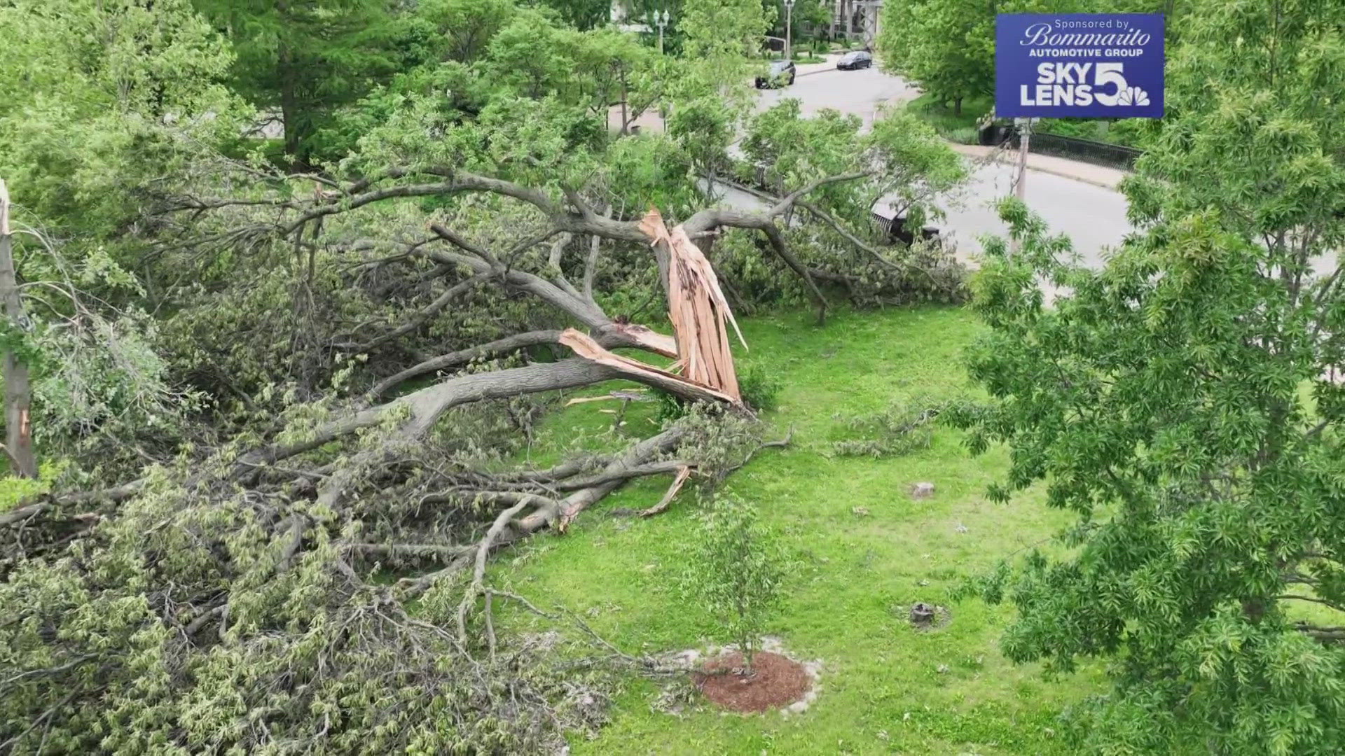 Forest Park, the Saint Louis Zoo, and Shakespeare in the Park are slowly recovering from the May 16 tornado. 