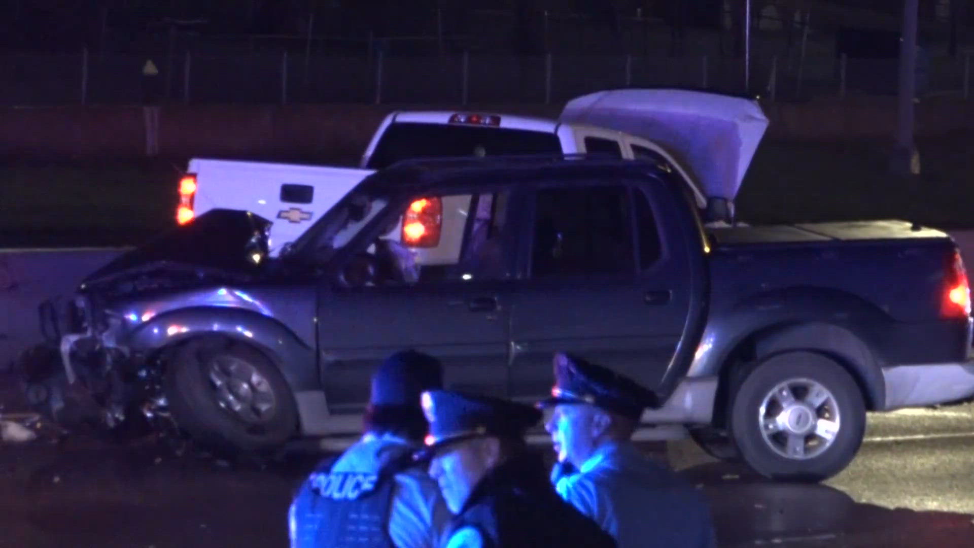 Orcas never seen before in Seattle delight whale watchers with a visit ...