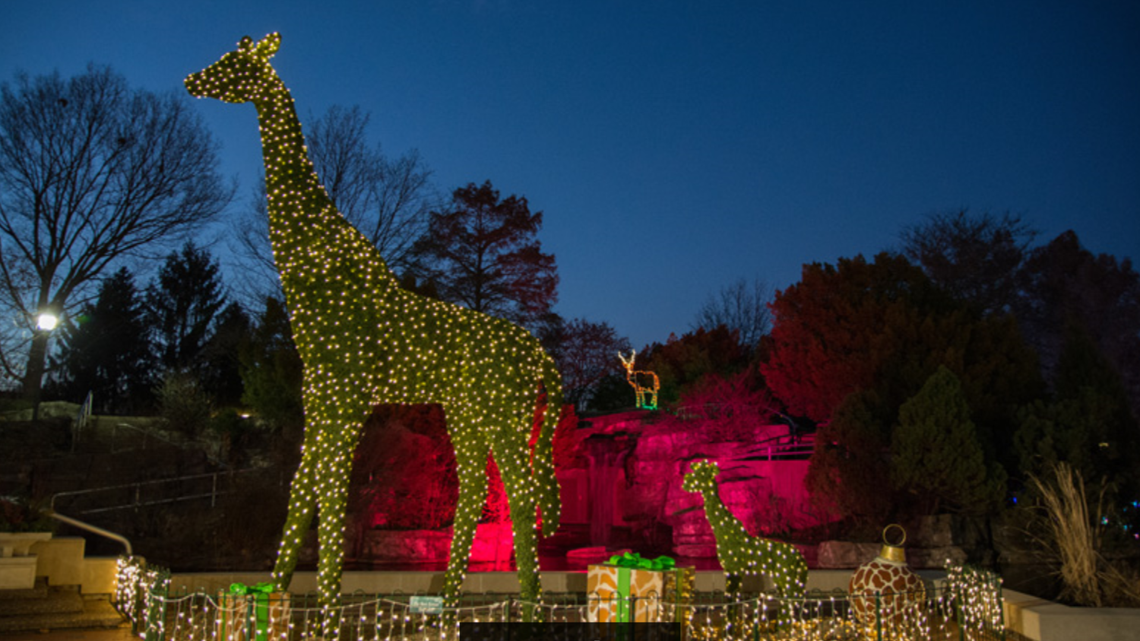 Saint Louis Zoo Wild Lights returns in 2020
