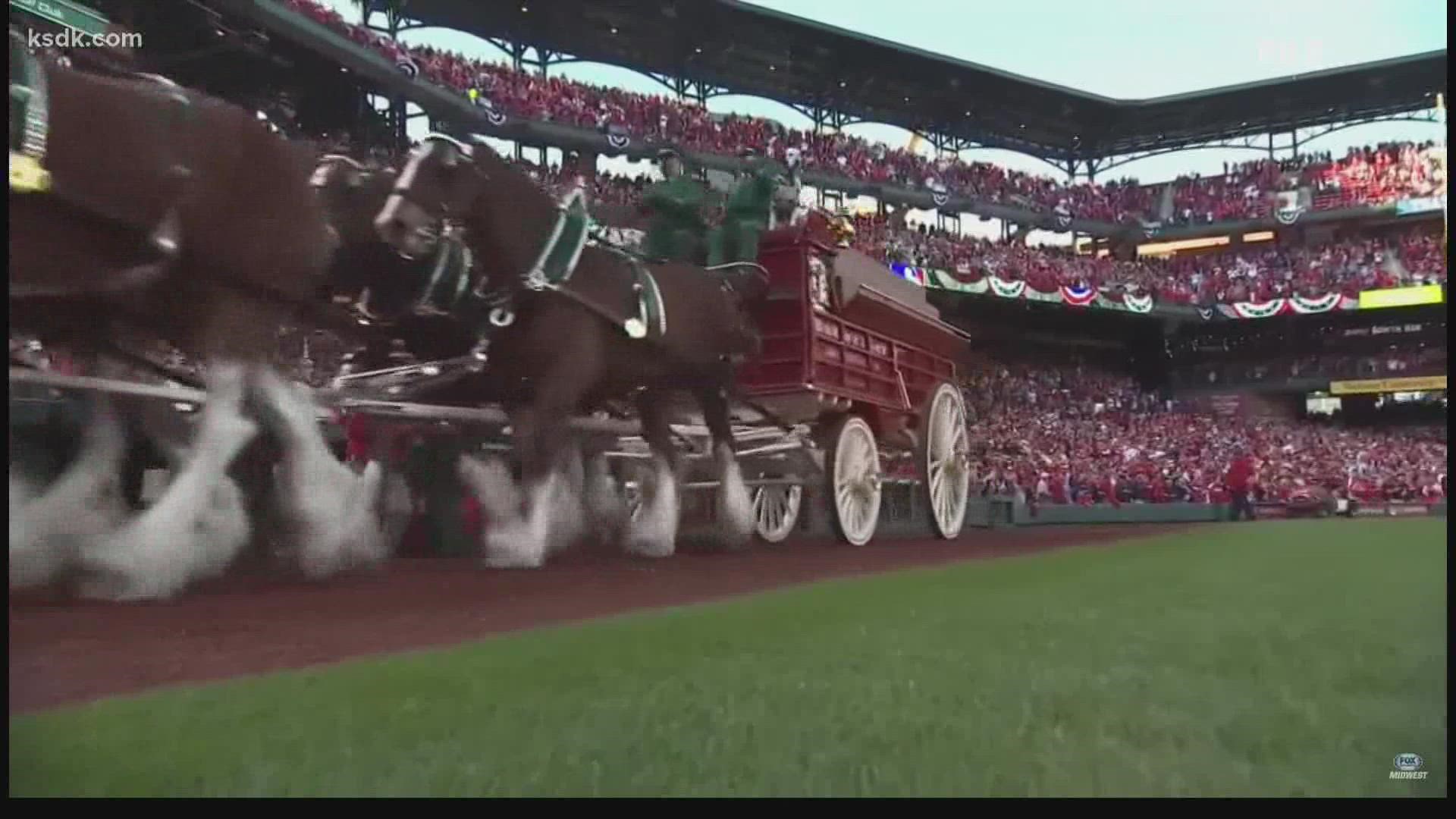 cardinals opening day 2022