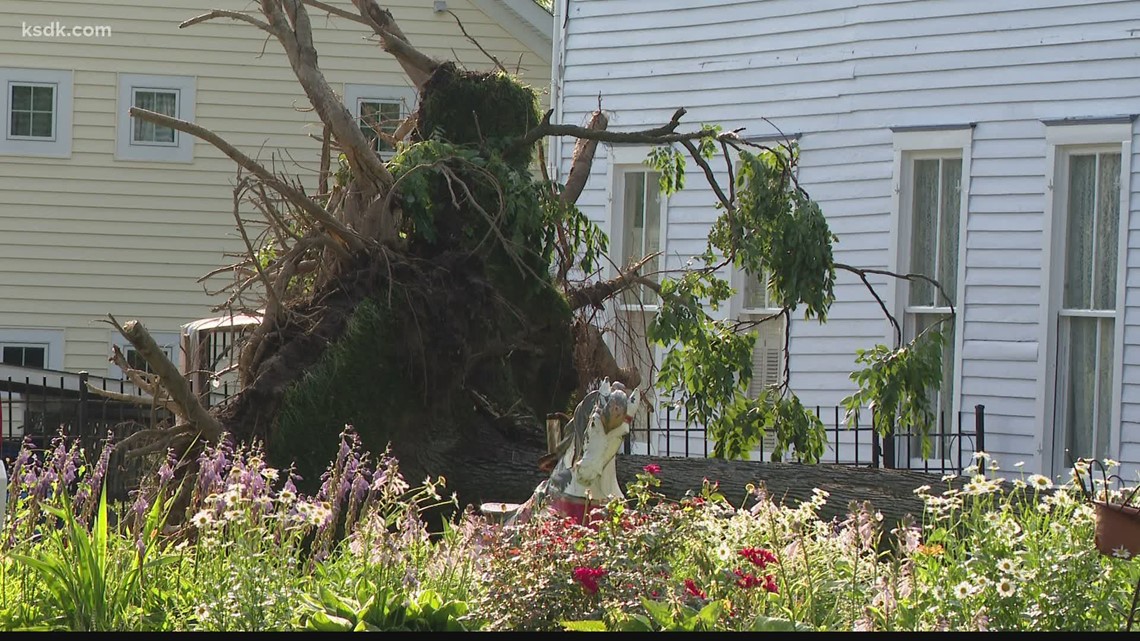 Thousands without power after strong storms down trees, power lines in ...