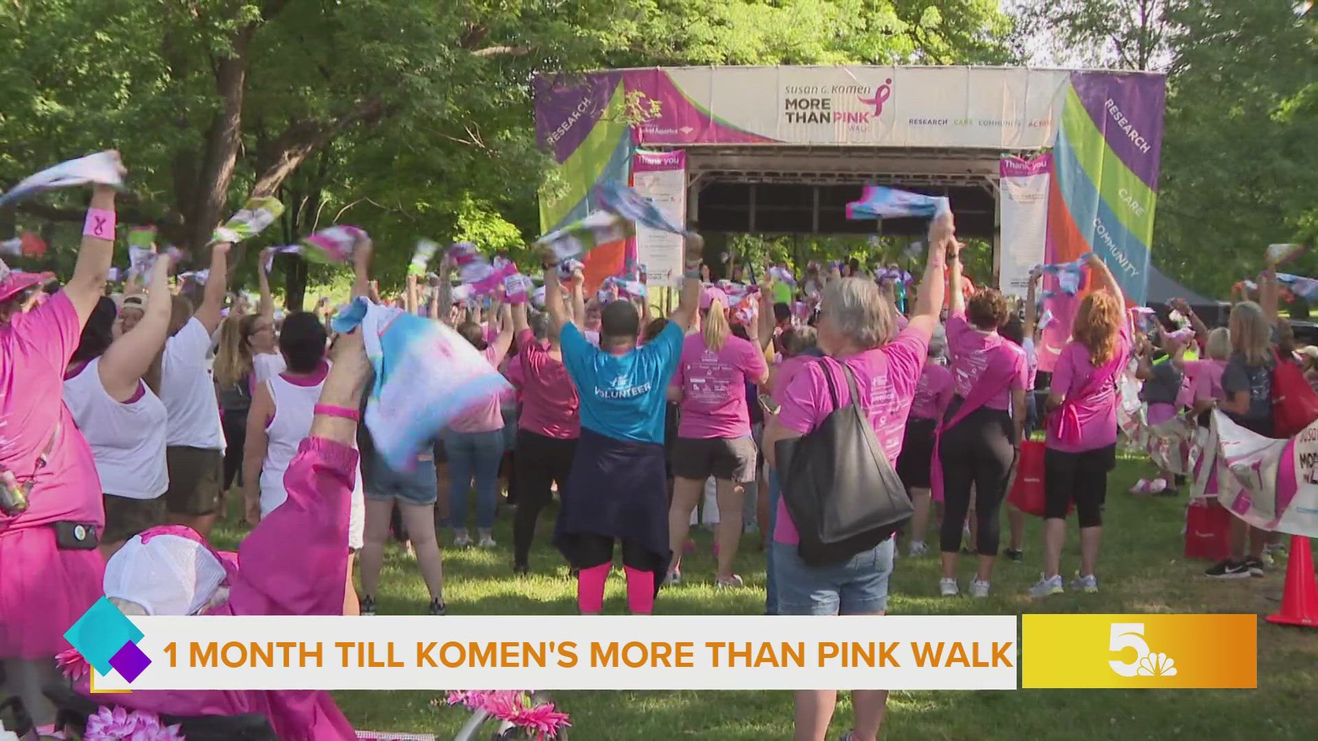 There's still time to register and volunteer at this year's More than Pink Walk.