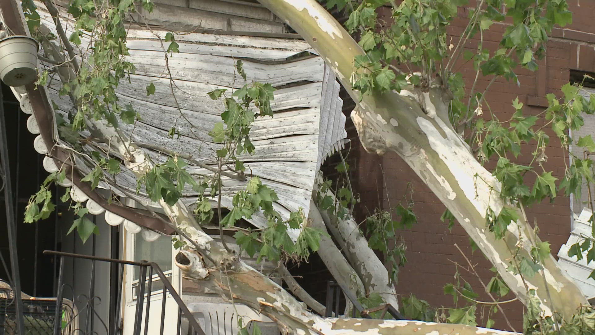 A couple on Penrose Street was trapped in their home after a tree that was knocked down during Friday's storm blocked their front door.