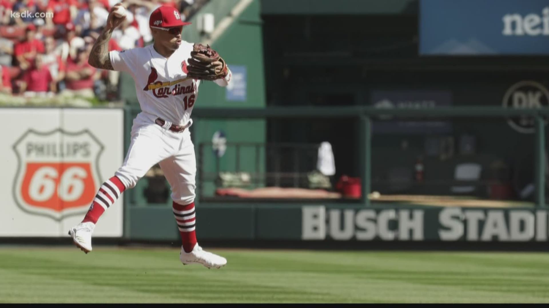 Defense was a huge part of the Cardinals' success in 2019. Now, they're getting recognized in a big way, with six Gold Glove finalists, the most of any team.