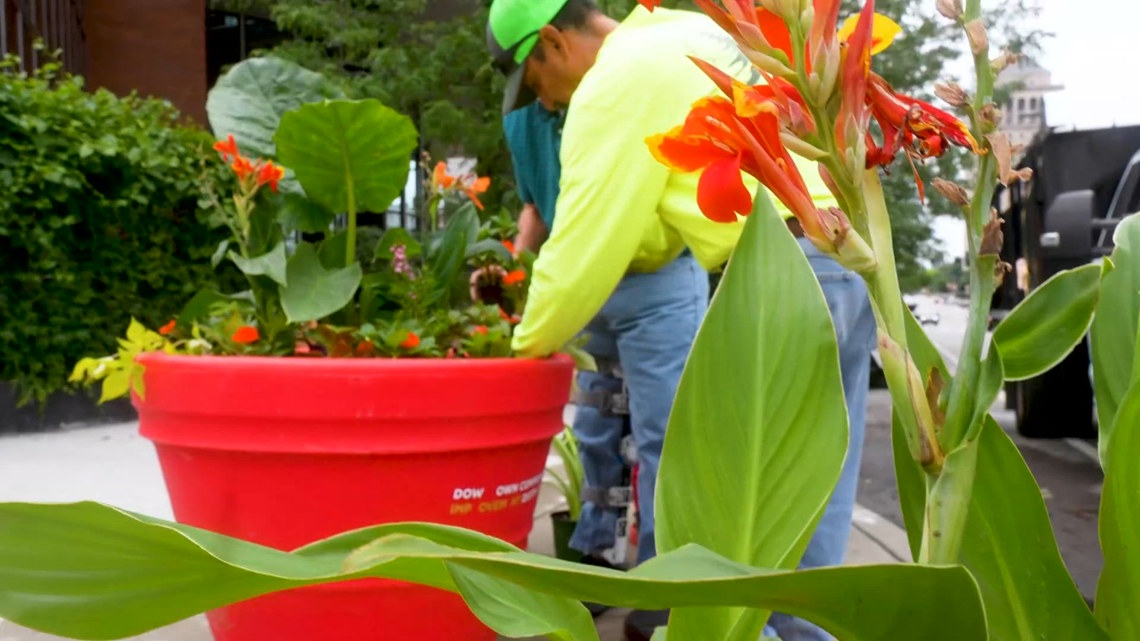 Downtown St. Louis blooms with vibrant landscaping in summer refresh initiative