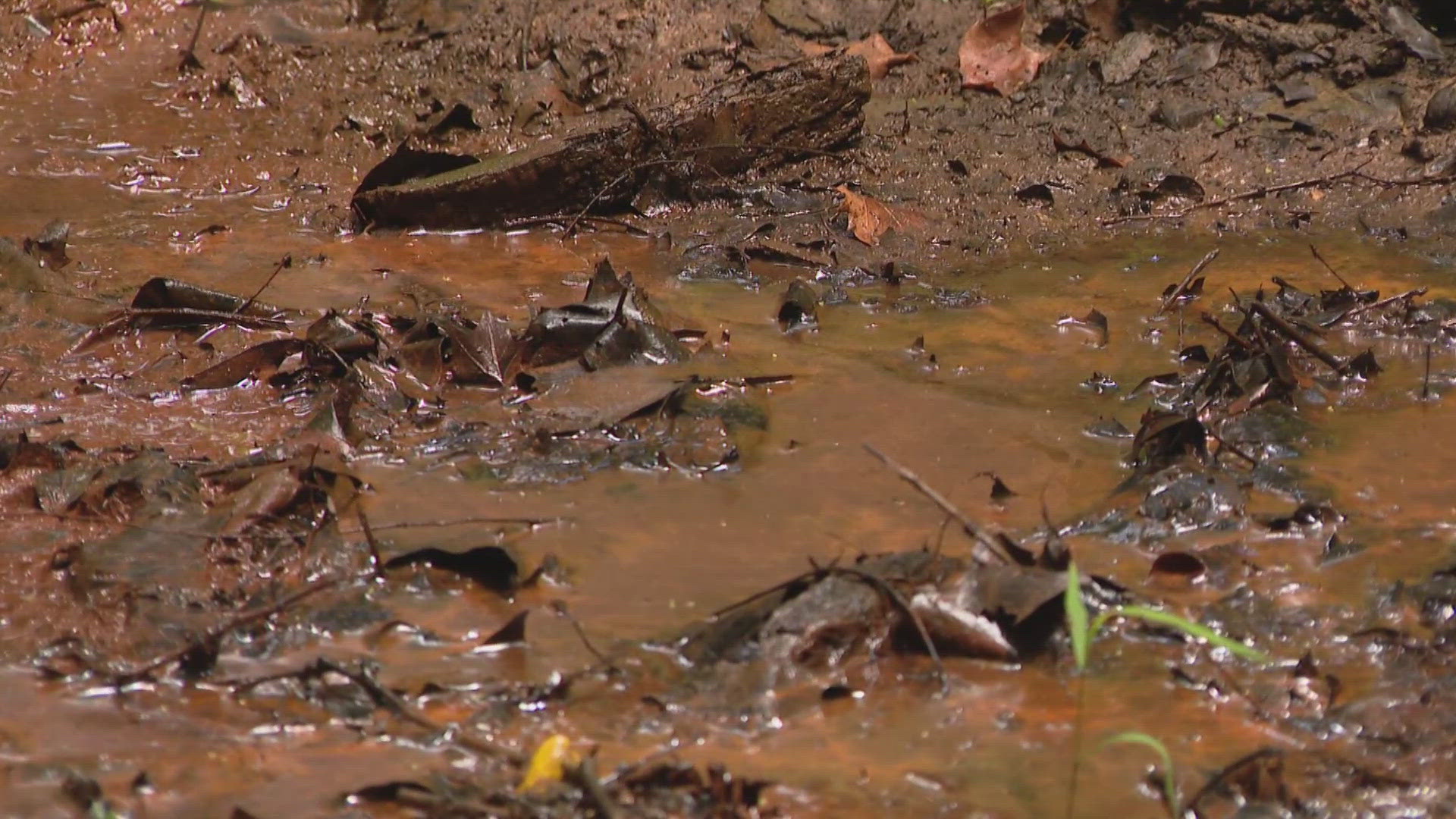 Toxic orange ooze seeps from abandoned landfill in Missouri | ksdk.com