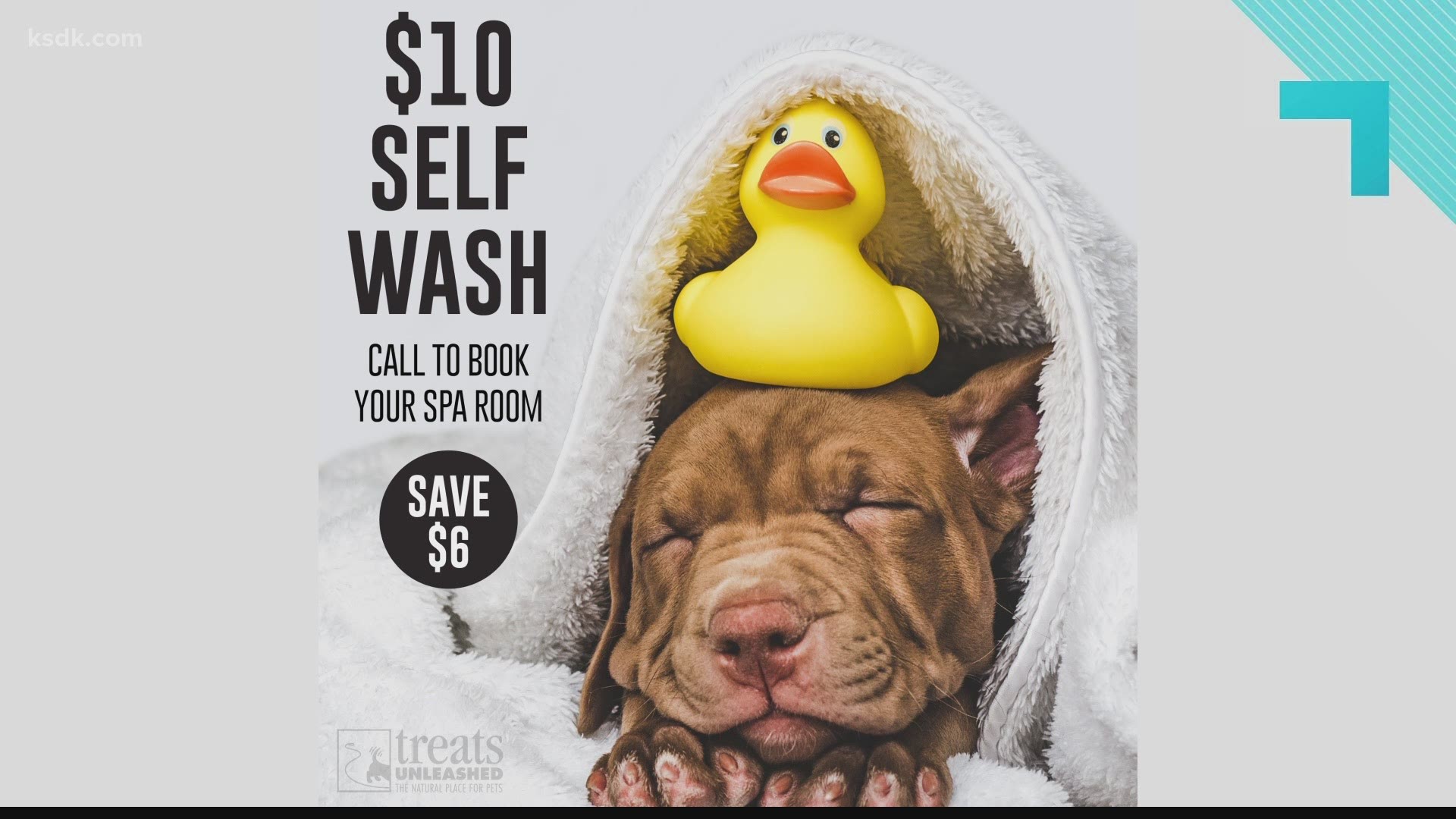 Cleaning your pet is easy when you go to the self-wash suite at Treats Unleashed.