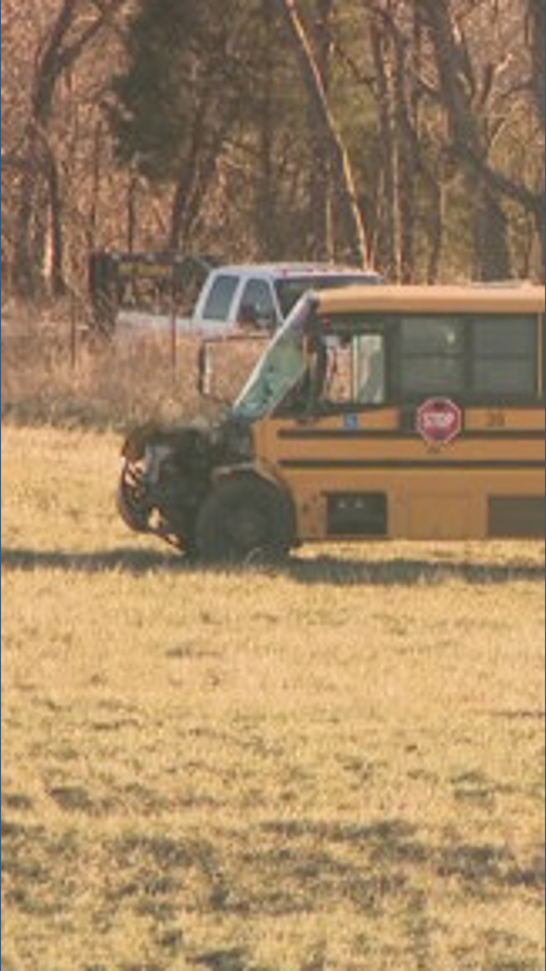 1 dead, several injured in crash involving school bus, semitruck in Ste ...