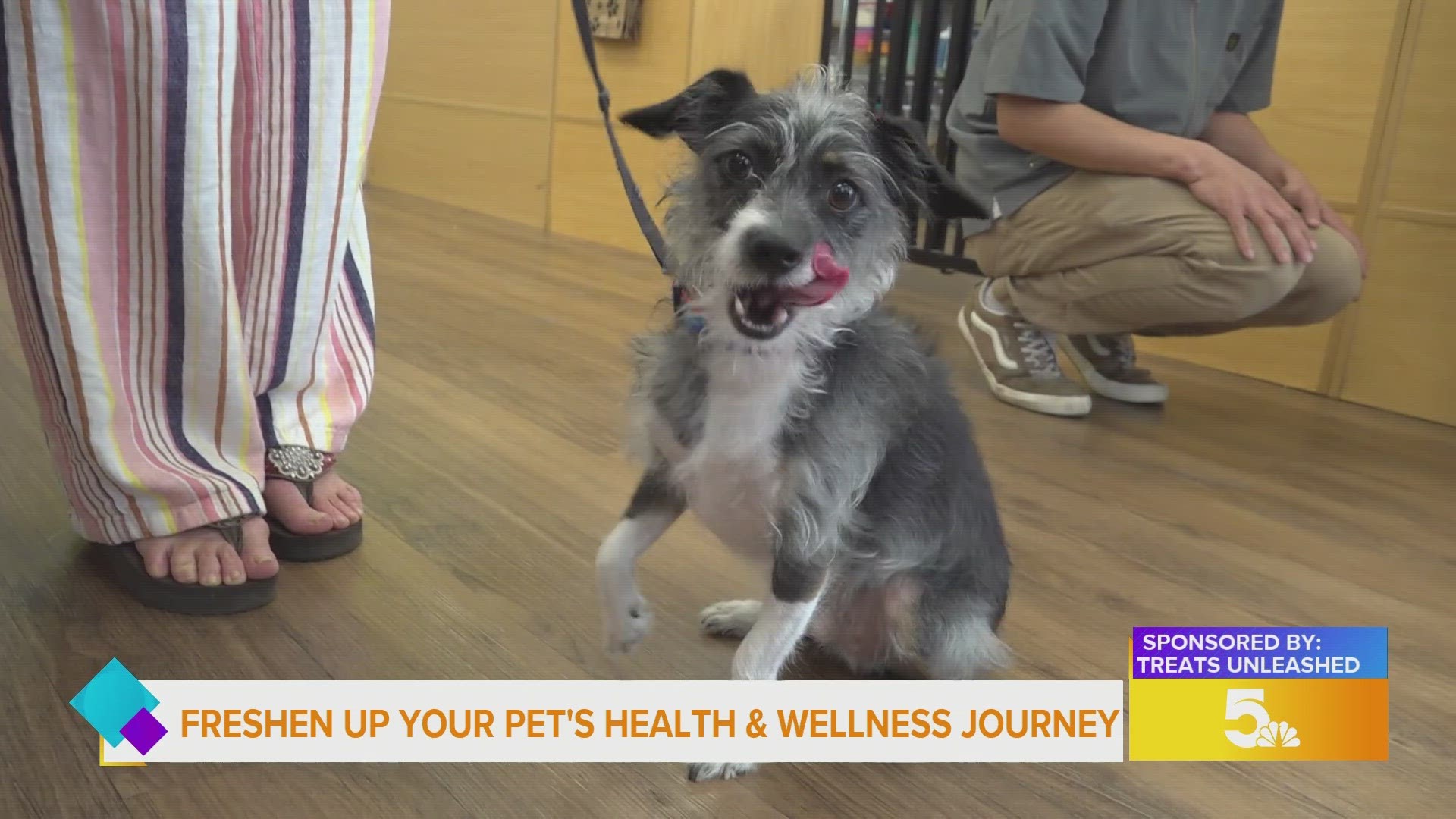 If it’s time to freshen up your pet's health and wellness journey, stop by Treats Unleashed on April 27 for the Find Your Fit event.