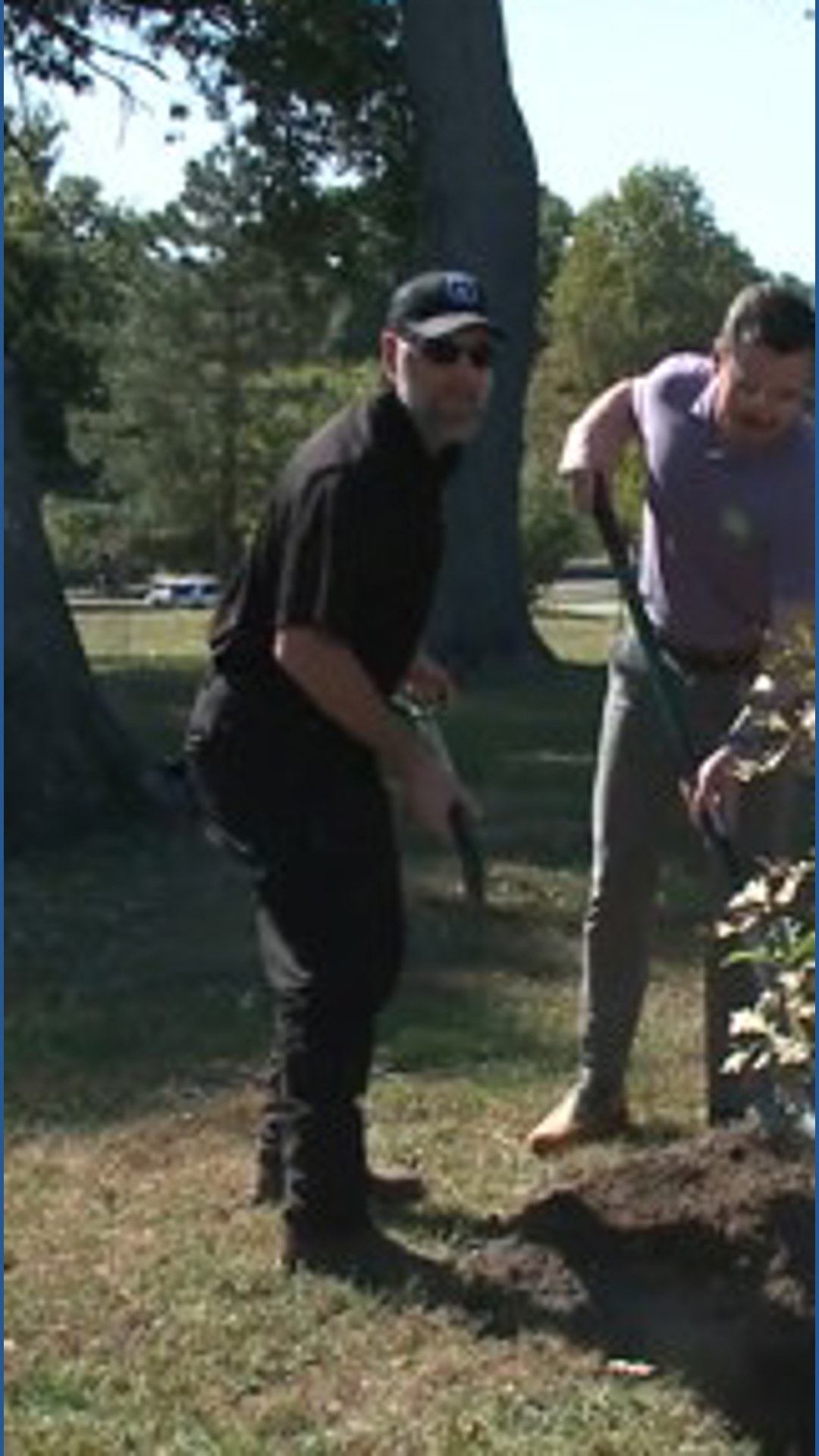 St. Louis County launches tree initiative | ksdk.com