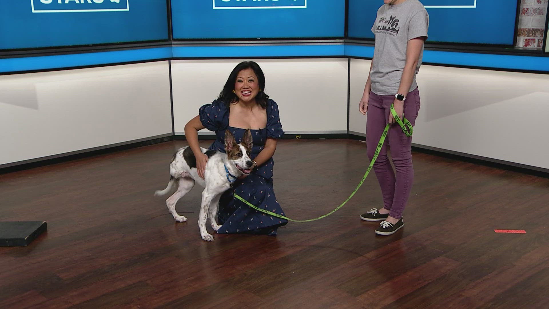 Sammy's Stars: Sept. 4, 2024 | ksdk.com