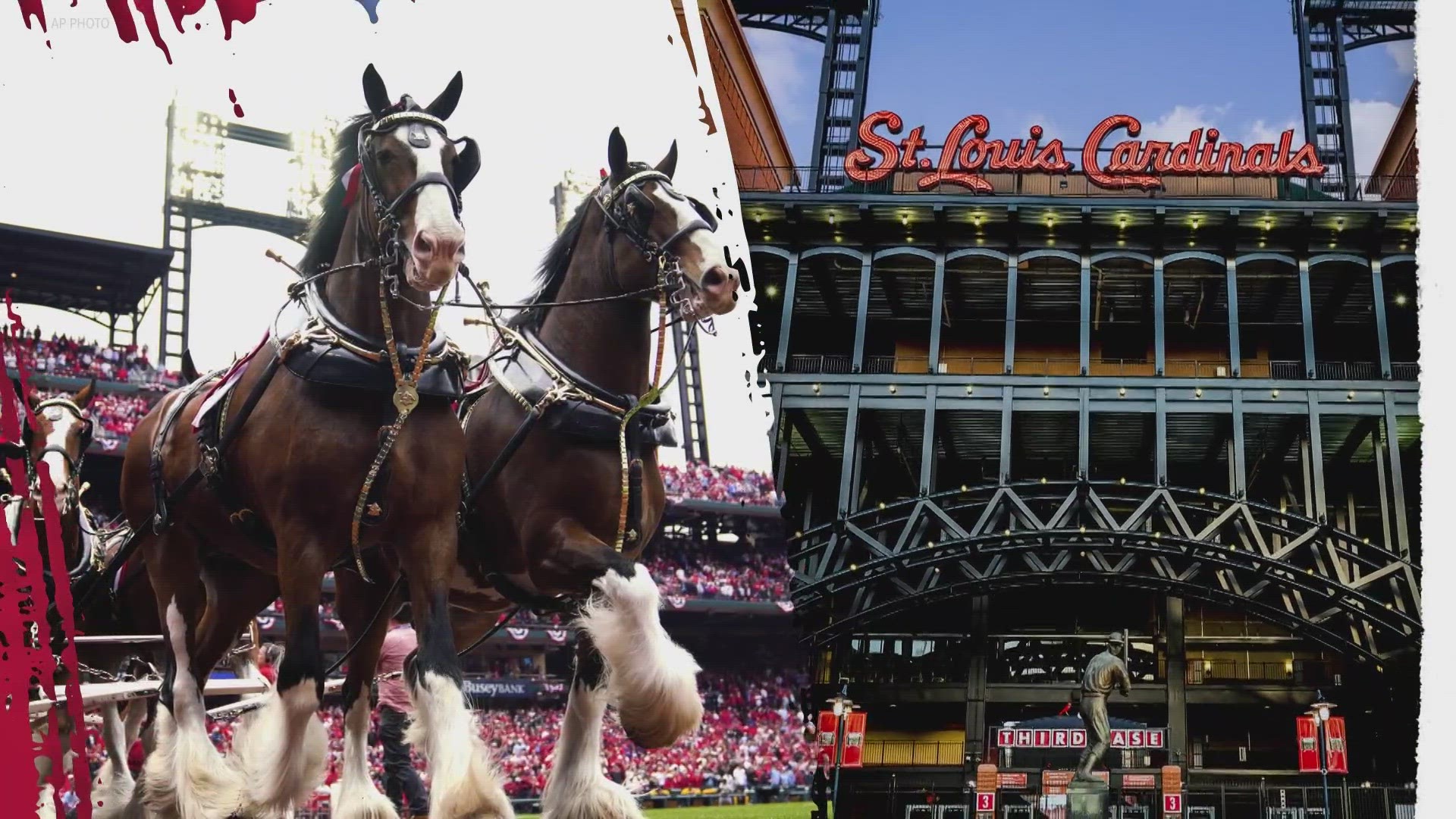 Thursday is opening day at Busch Stadium for the St. Louis Cardinals. Today in St. Louis is live from the ballpark to tell you what to expect this season.