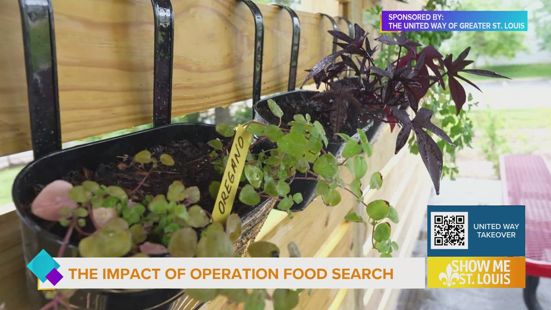 United Way of Greater St. Louis fights hunger with Operation Food Search, helping families with produce and education.
