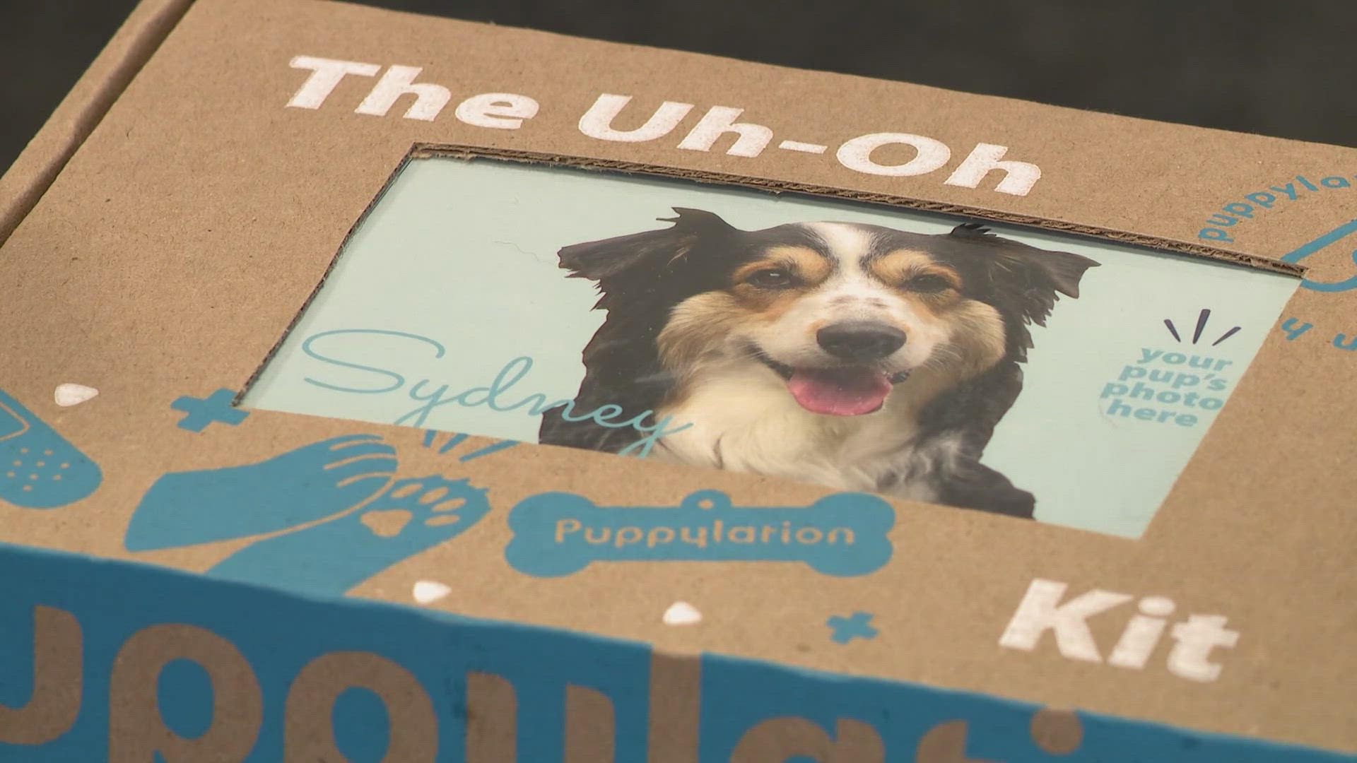 The Uh-Oh Kit offers vet-approved, over-the-counter medications and clear instructions. The kit could save pet owners money and time.