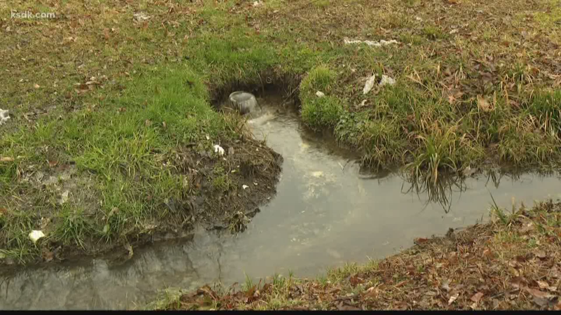Raw sewage, flowing right through their backyards. It's a pretty gross sight for anyone, but for neighbors in Centreville, they say it's been like this for years.