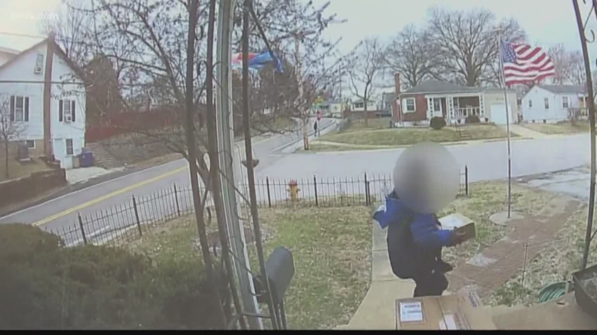 A St. Louis woman is warning neighbors to be on the lookout after her package was stolen in broad daylight.