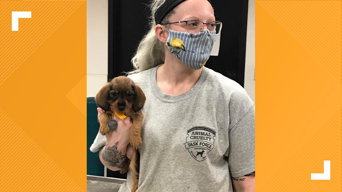 Dogs rescued from home in Franklin County by Humane Society | ksdk.com