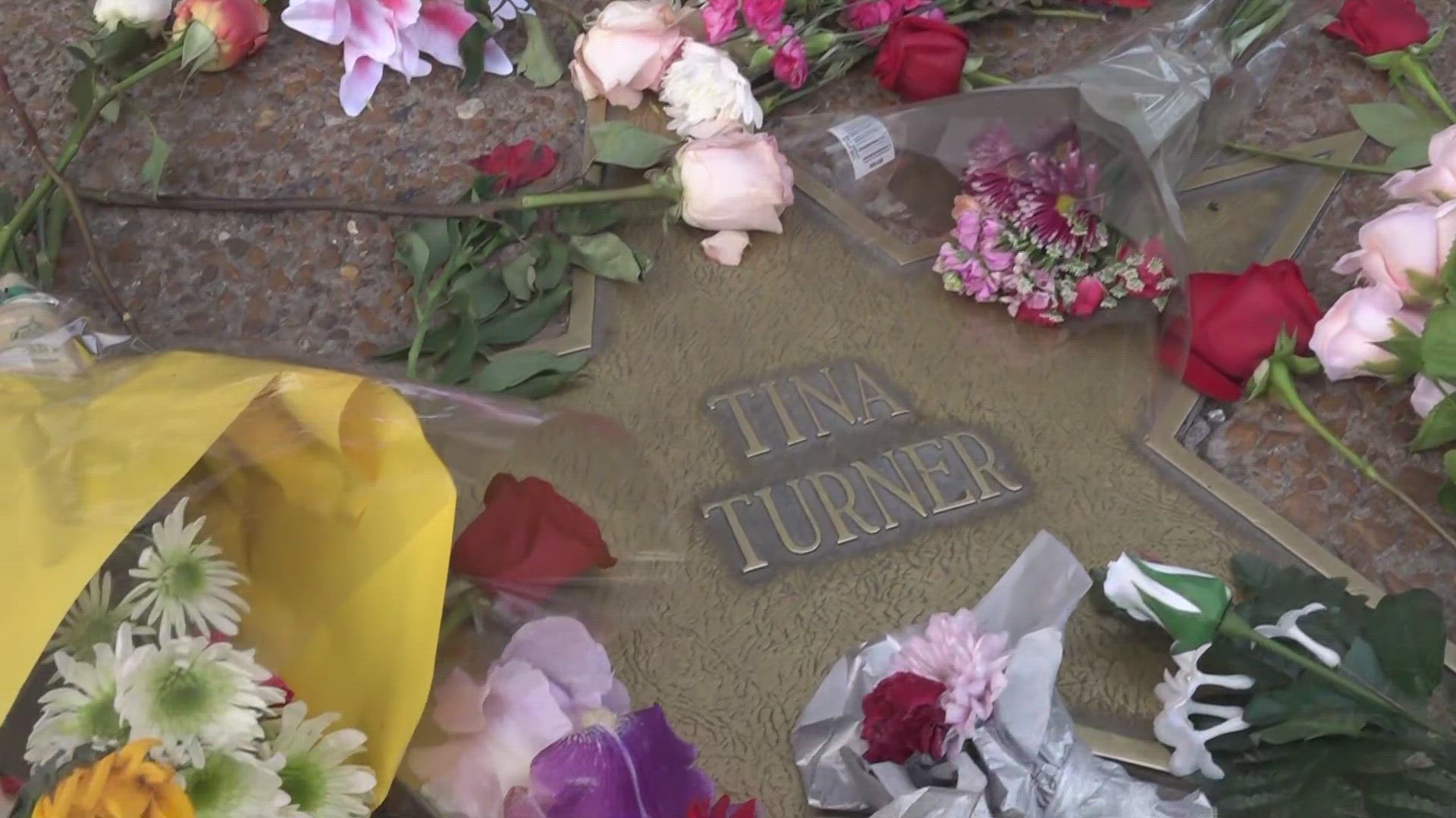 St. Louis is shaken by the death of Tina Turner. Many have placed flowers at the queen of rock and roll's start on the St. Louis Walk of Fame.
