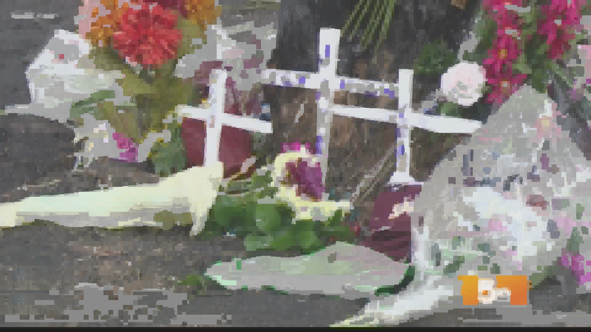 Funeral services announced for 3 teens killed in St. Louis County crash ...