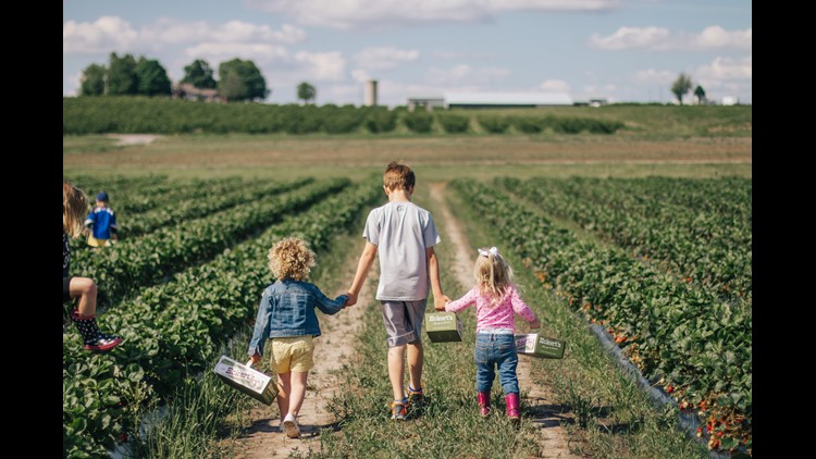 5 Places To Take The Kids For Best St Louis Summer Vacation 5 Places To Take The Kids For Best St Louis Summer Vacation Ever
