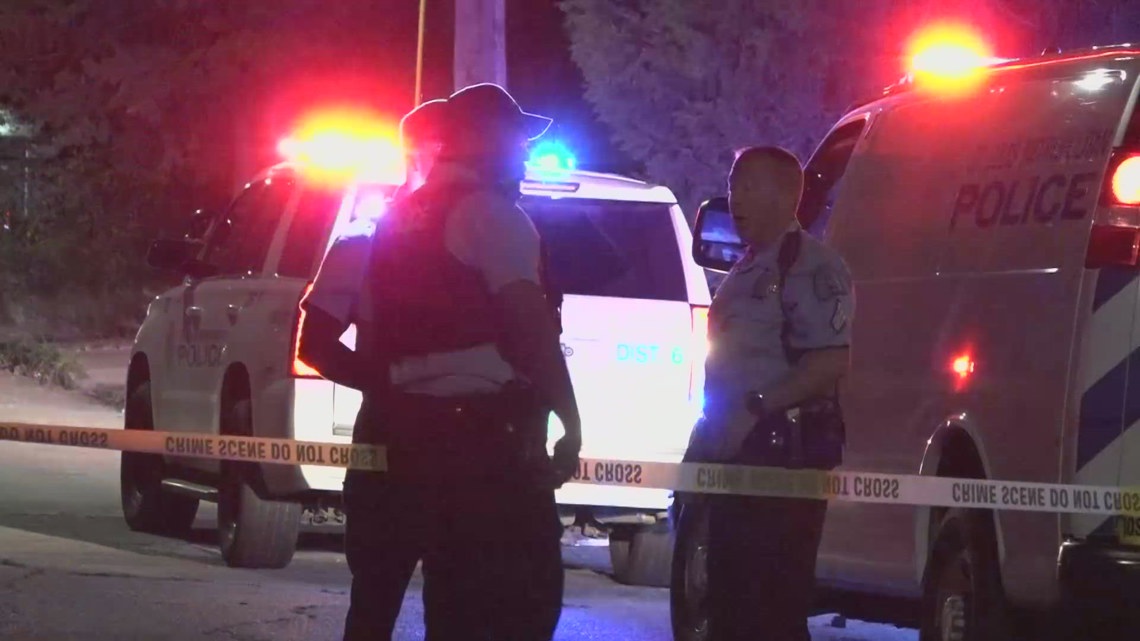 Girl, 4, shot and killed by her sibling in north St. Louis; experts ...