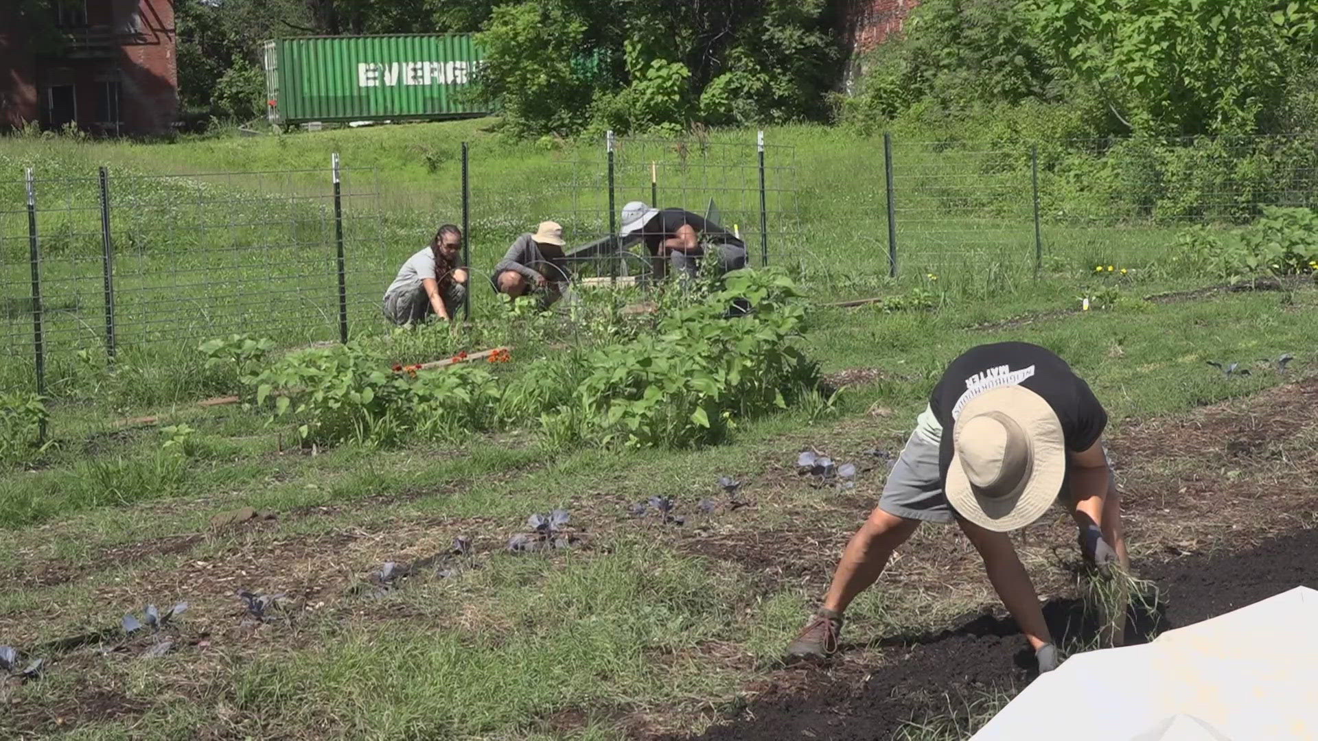 Ujima, founded in 2018, grows and provide fresh food for marginalized communities, combats illegal dumping through neighborhood cleanup efforts, and empowers youth.