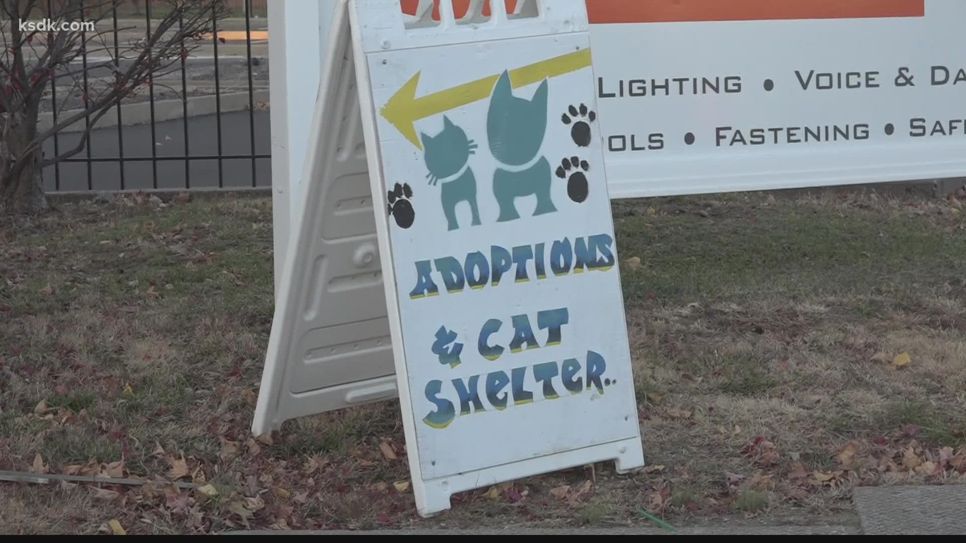 CARE STL is in need of supplies and extra help after authorities brought dozens of cats from a man's home
