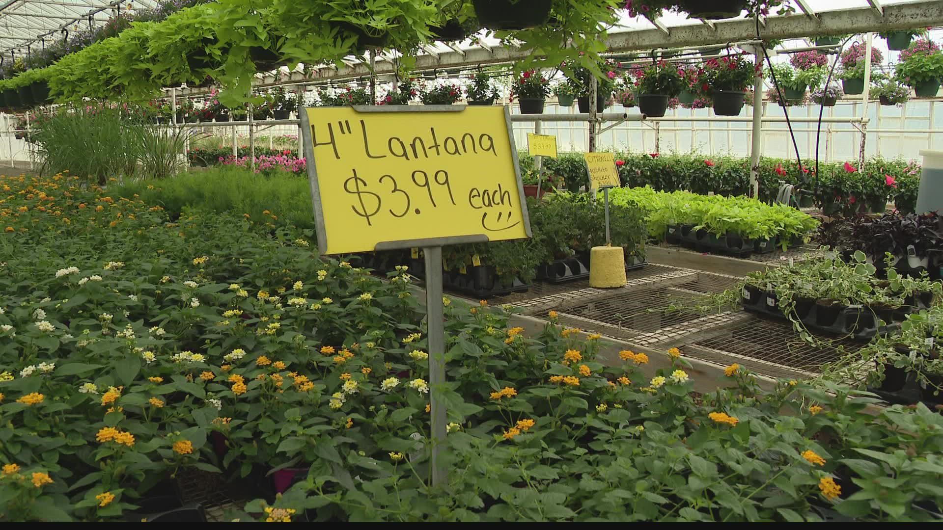 Bayer's Garden Shop has been a family-owned business for 81 years, spanning three generations.