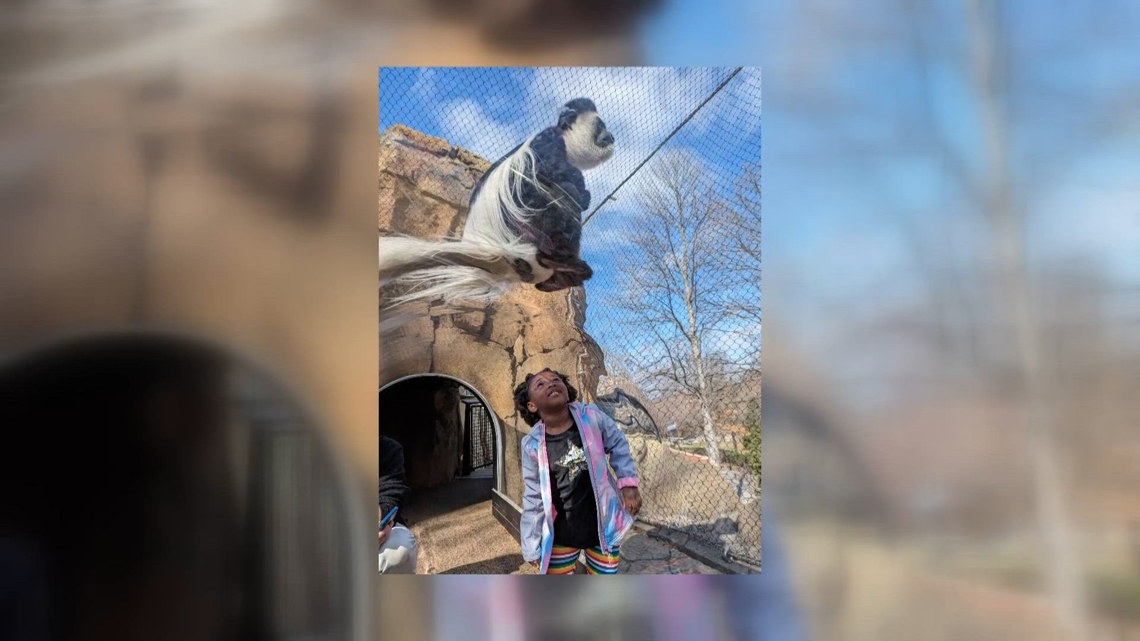 The Saint Louis Zoo is growing something special for its youngest learners