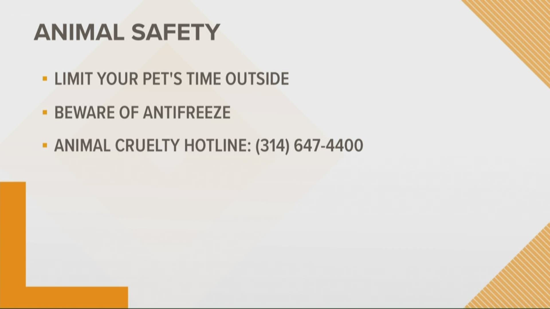 The cold weather is tough on our four-legged friends. The Humane Society of Missouri is urging pet owners to keep your pets safe in the freezing temperatures.