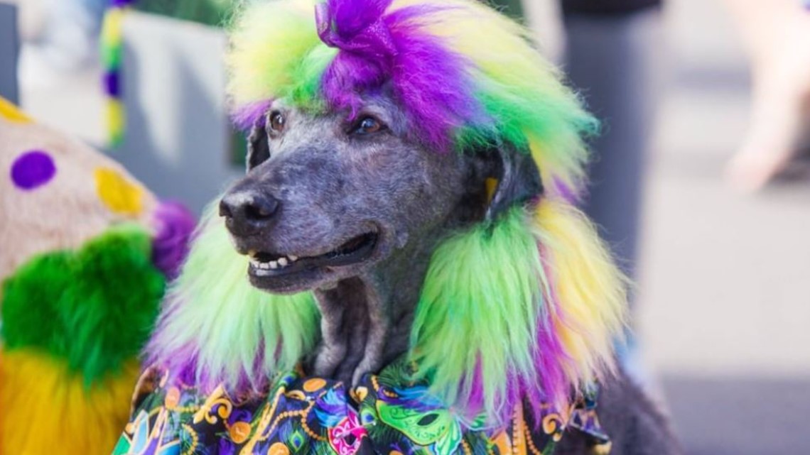 Mardi Gras plans in Soulard will look different in 2021