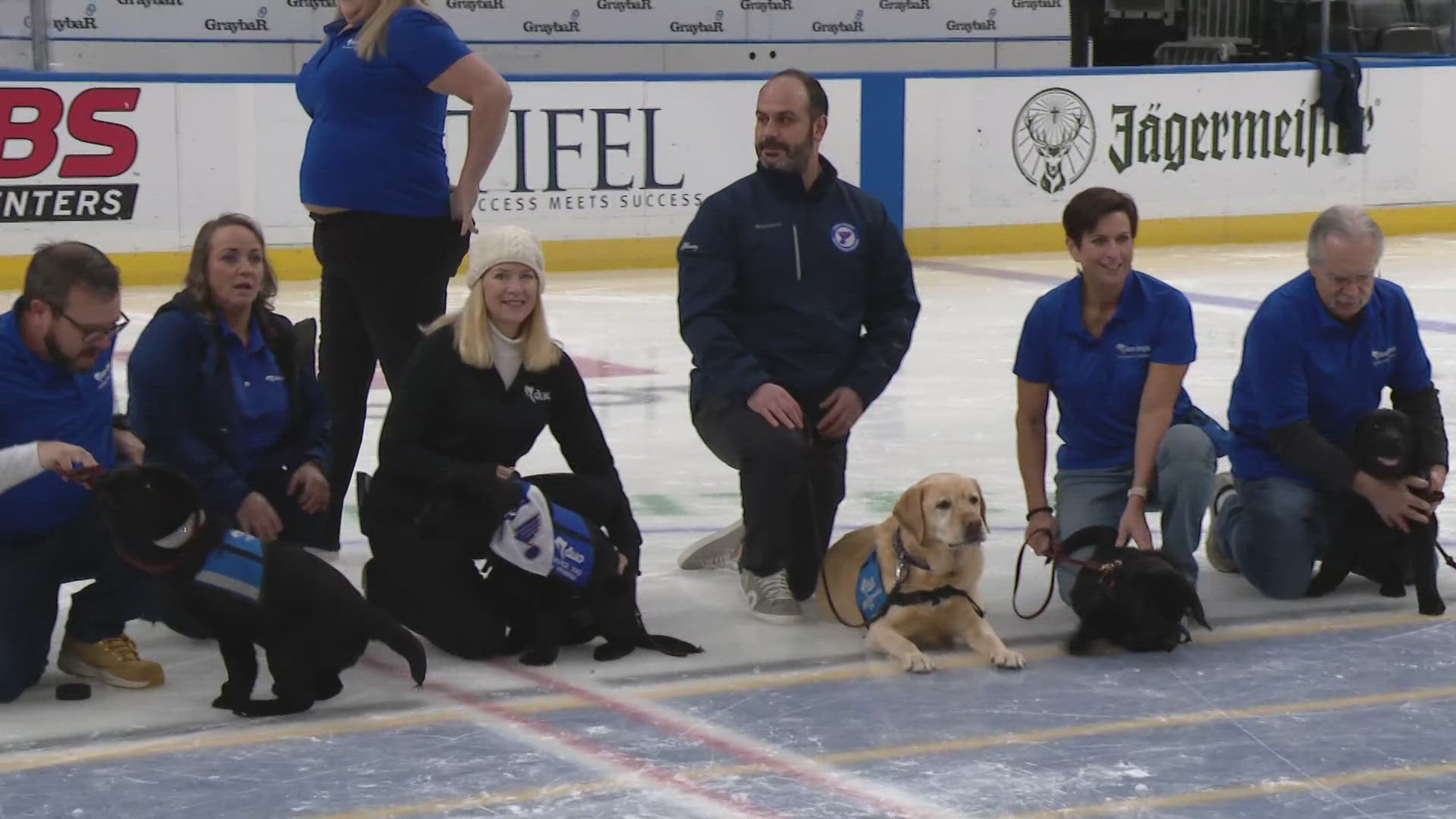 Barclay, the official Ambassador for the Blues, led the latest litter of puppies from Duo Dogs onto the ice.