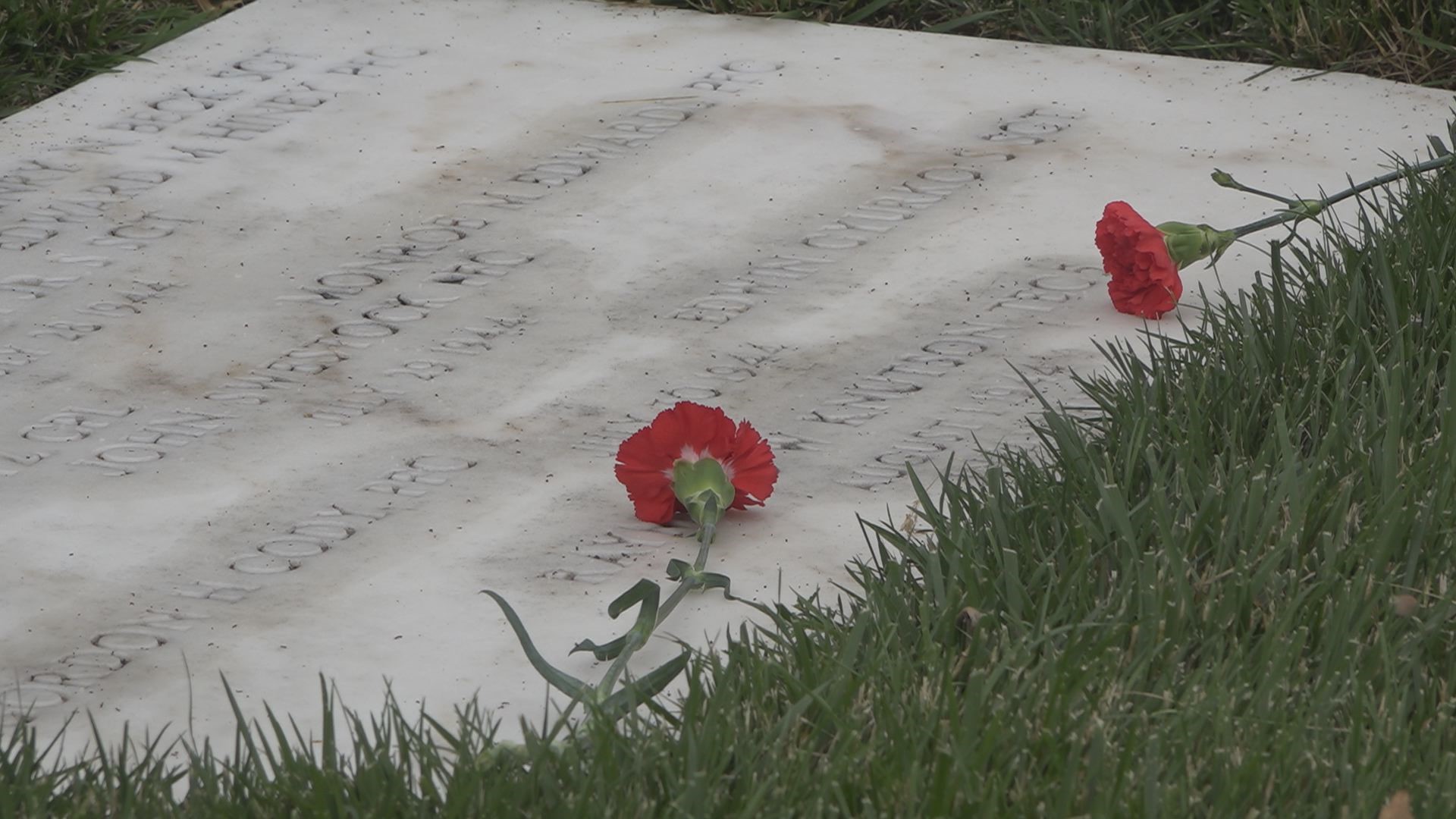 The volunteers laid more than 3,000 flowers and flags at grave sites of World War II veterans.