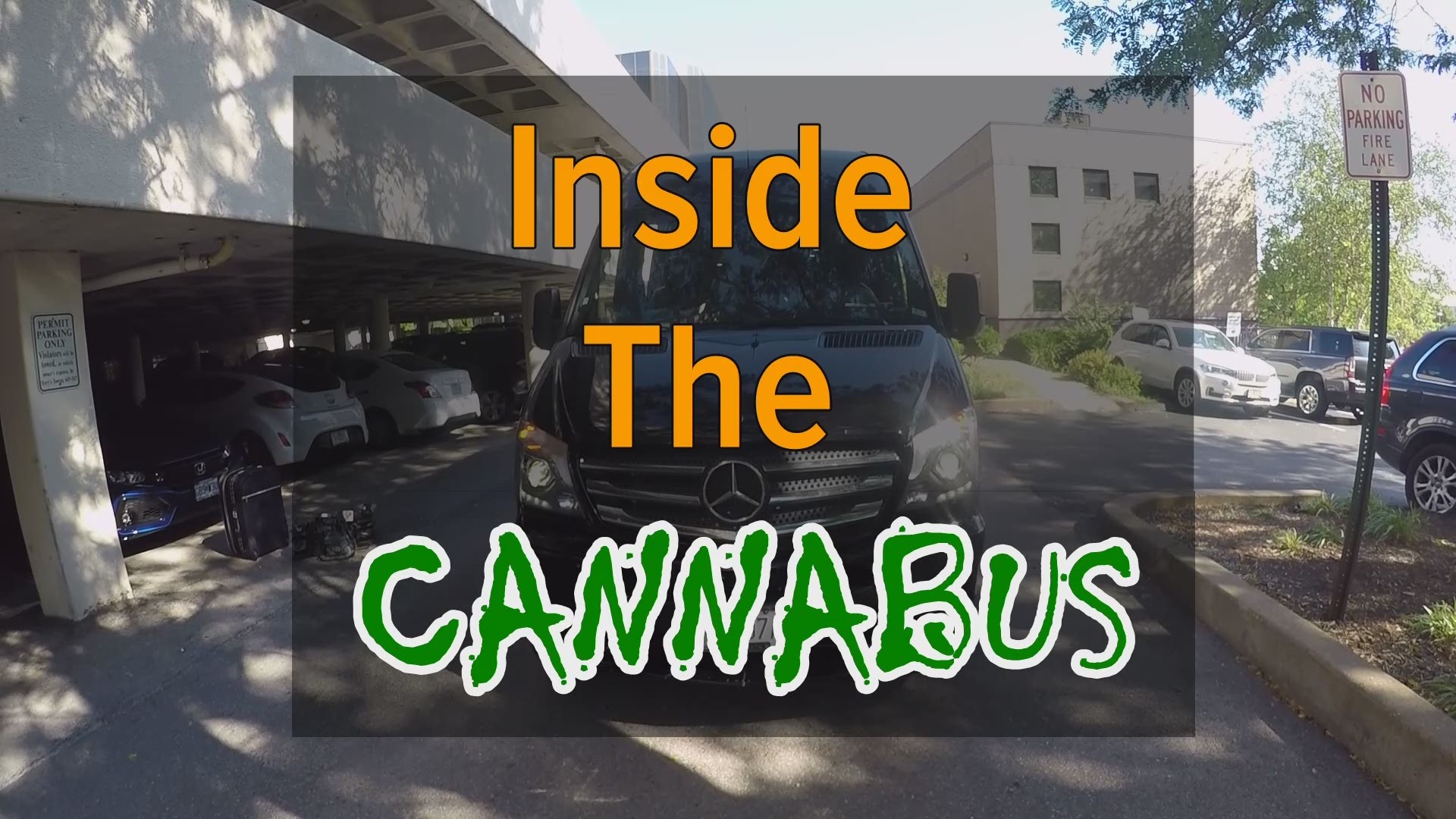 It’s a black Mercedes bus that carries Dr. Zinia Thomas around the state. She’s taking a unique approach to handling the new potential in medical cannabis.