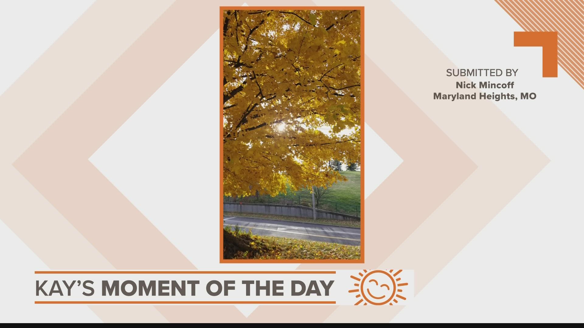 Kay's Moment of the Day for Nov. 17