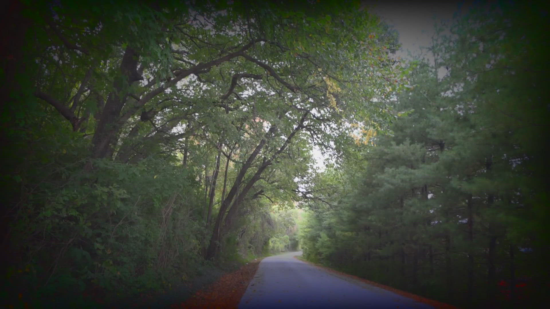 Hundreds of graves are hidden among the woods along Cemetery Road in Cahokia Heights. A local legend of ghosts there goes back decades.