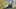 Archdiocese of St. Louis will make All Things New announcement Saturday