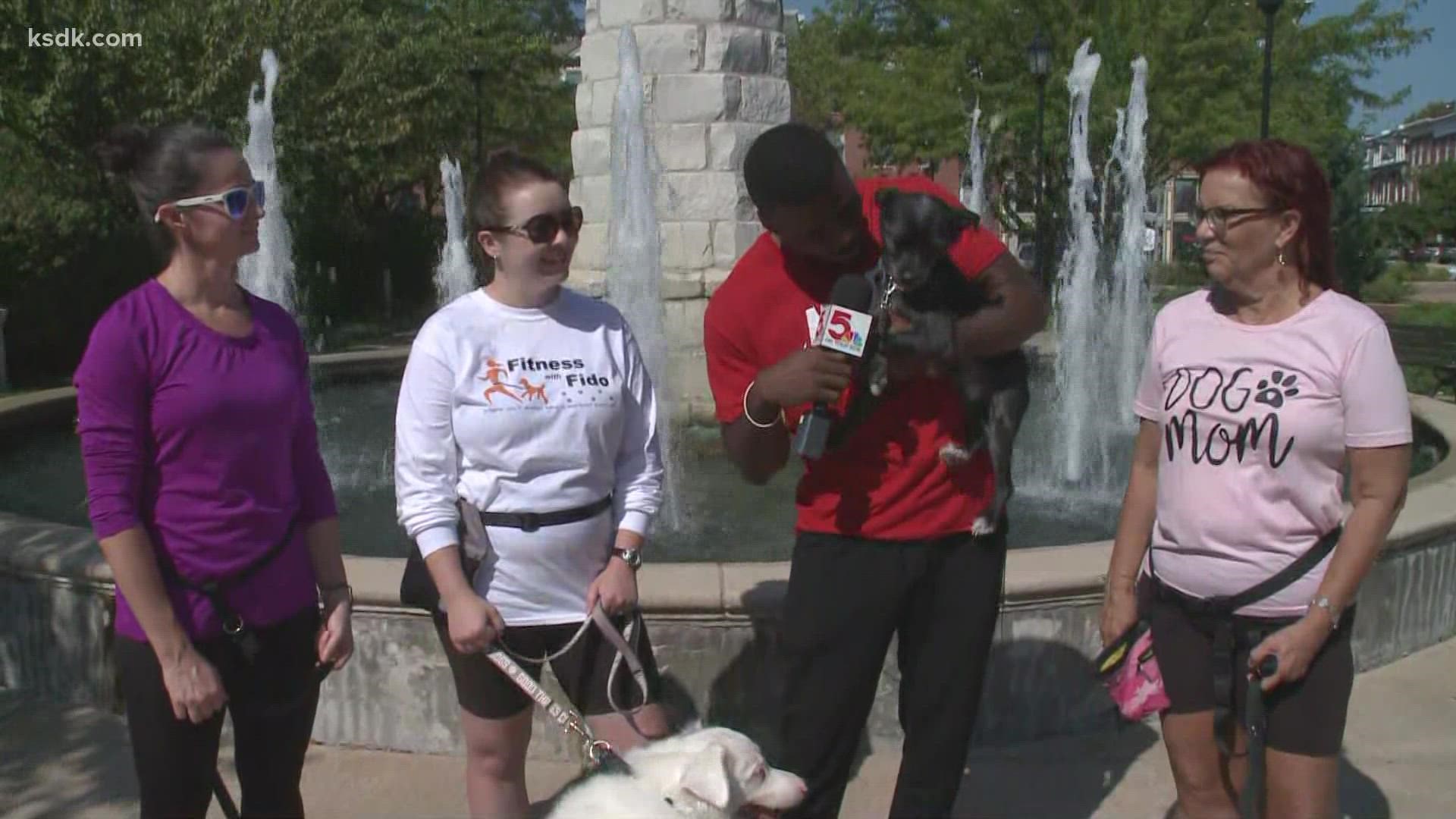 Show Me St. Louis’ Malik Wilson found out how this group is encouraging to work out with your furry friends so you both get the benefits of fitness.