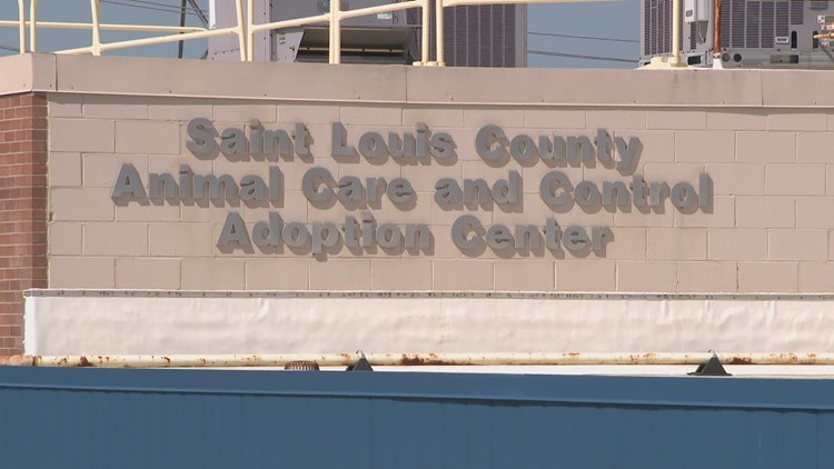 St. Louis County animal shelter pauses adoptions after multiple cases of parvo found