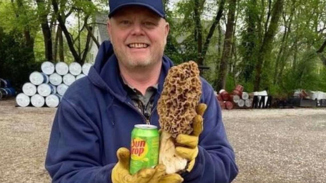 Is this a recordbreaking morel mushroom?