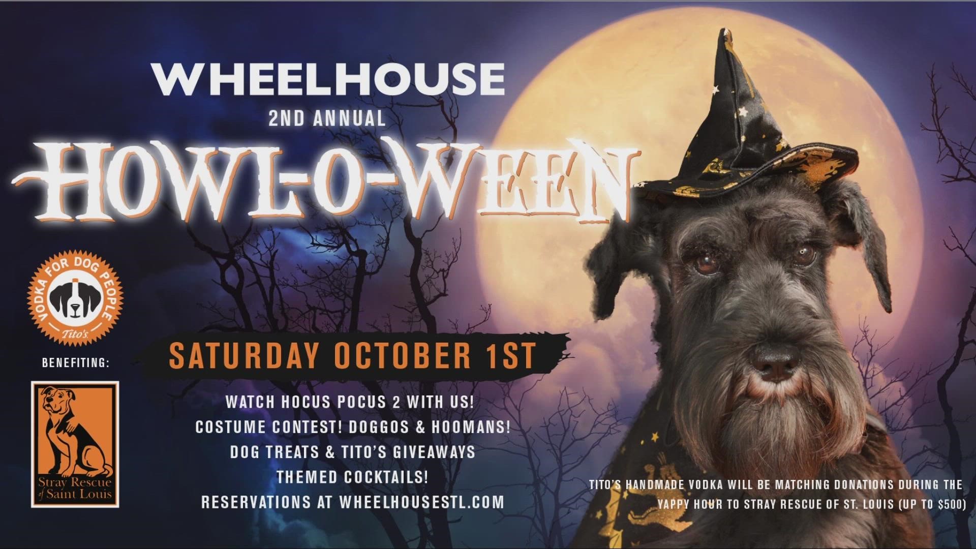 Stray Rescue is at Wheelhouse Saturday from 10 a.m. to 5 p.m. for some Howl-o-ween fun! You can even watch Hocus Pocus 2.