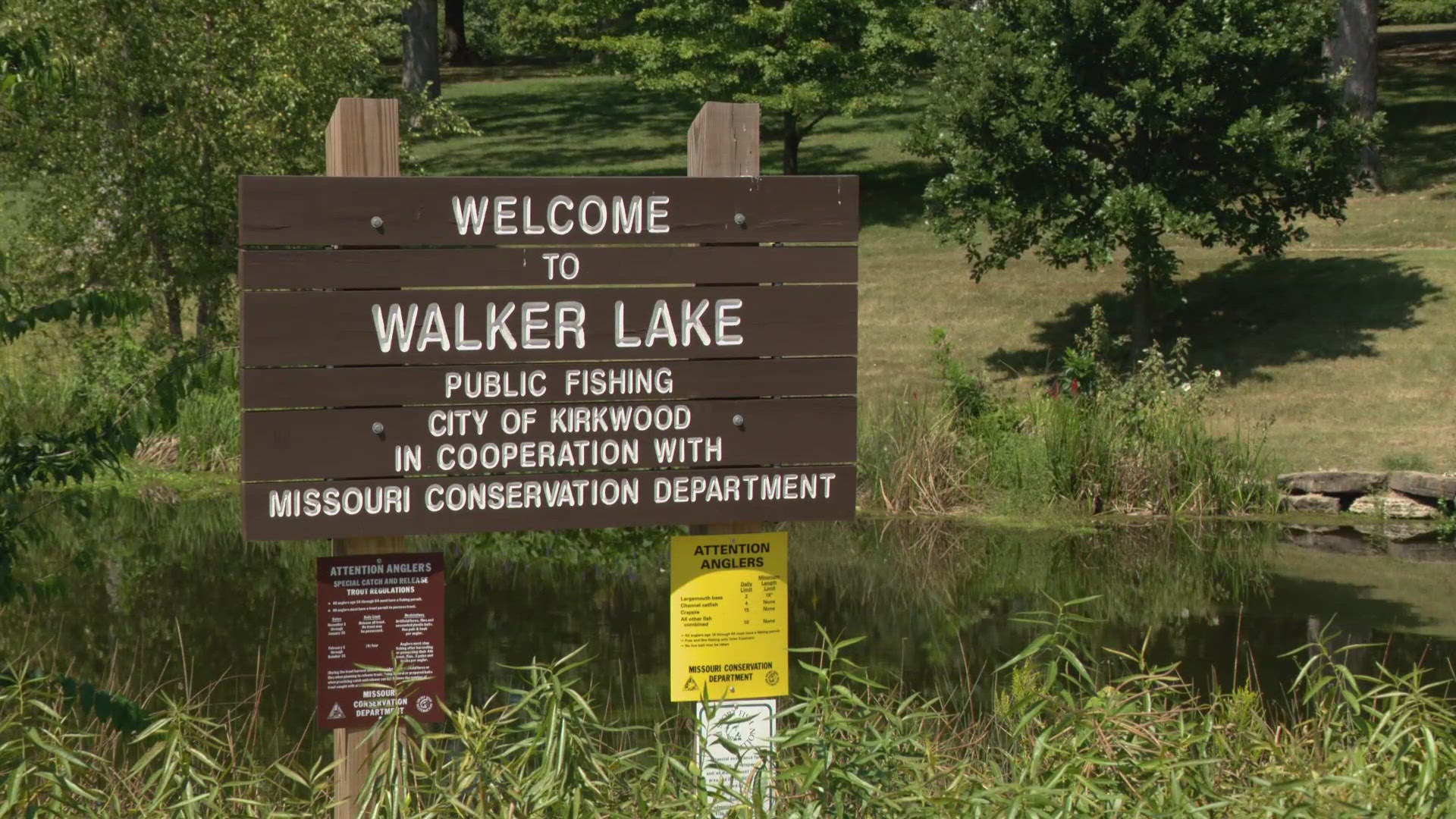 Some 650 dead fish washed up at Kirkwood Park's Walker Lake over the weekend. Conservationists confirmed the deaths and attributed them to equipment failure.