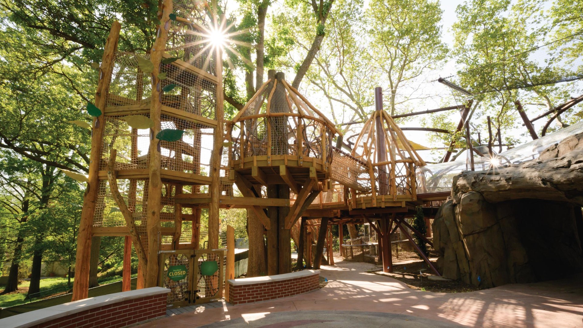 Saint Louis Zoo's new primate exhibit is like a treehouse for all ...
