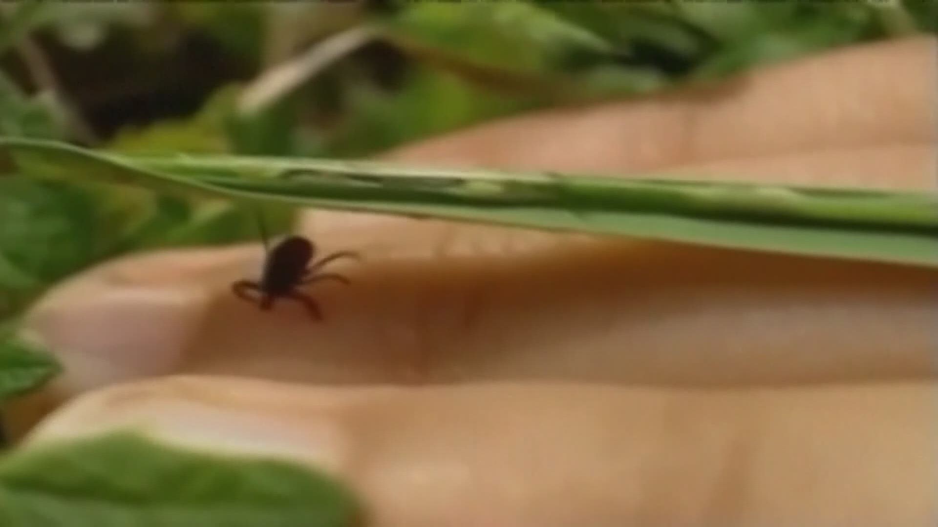The Missouri Department of Conservation and A.T. Still University in Kirksville have partnered in a two-year research study on ticks