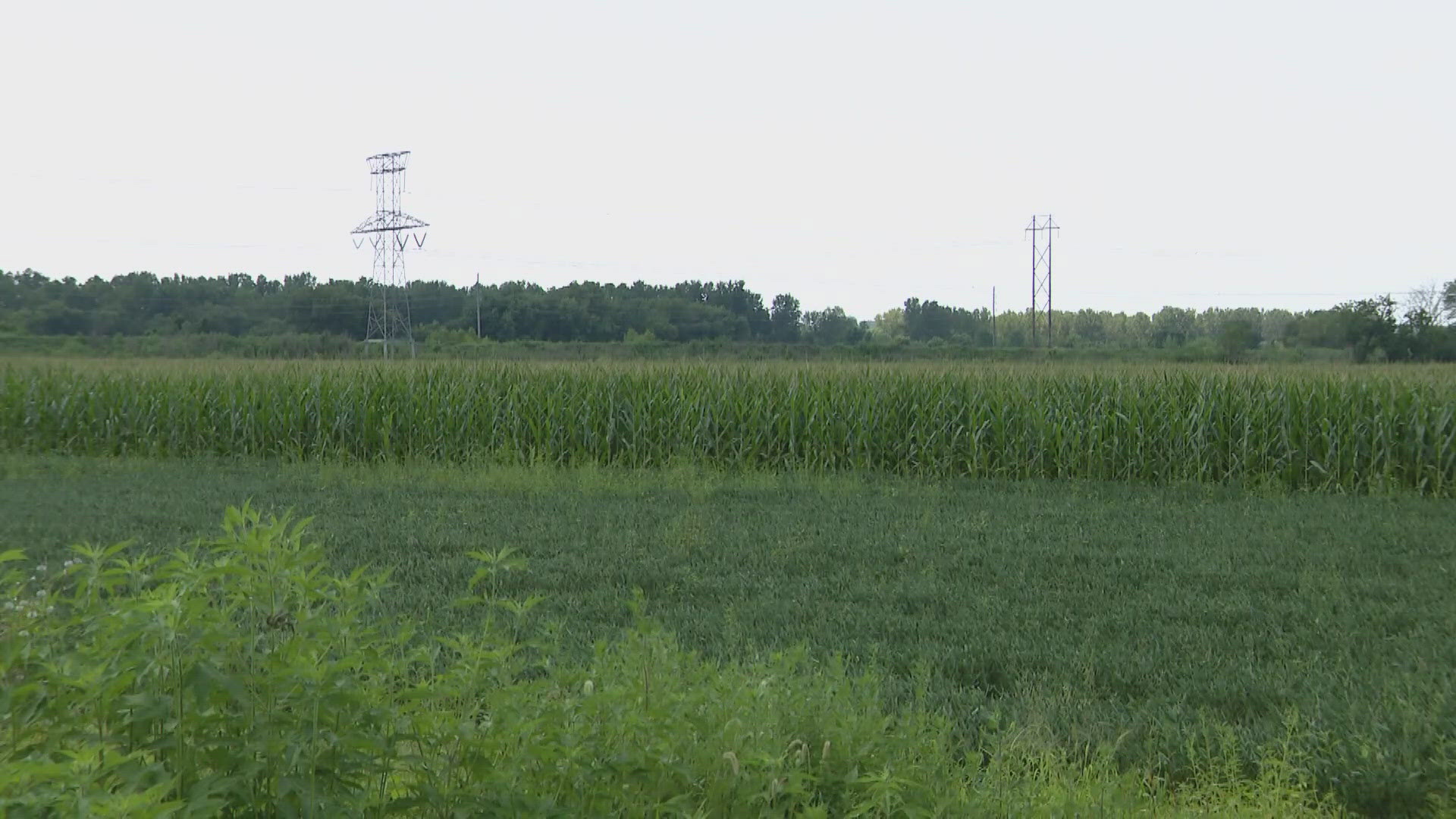 The St. Charles City Council will vote Friday on a bill that would ban data center construction applications for a year.