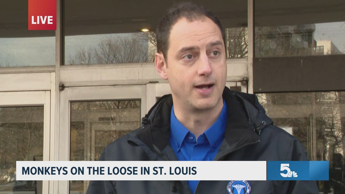 Monkeys still on the loose in St. Louis