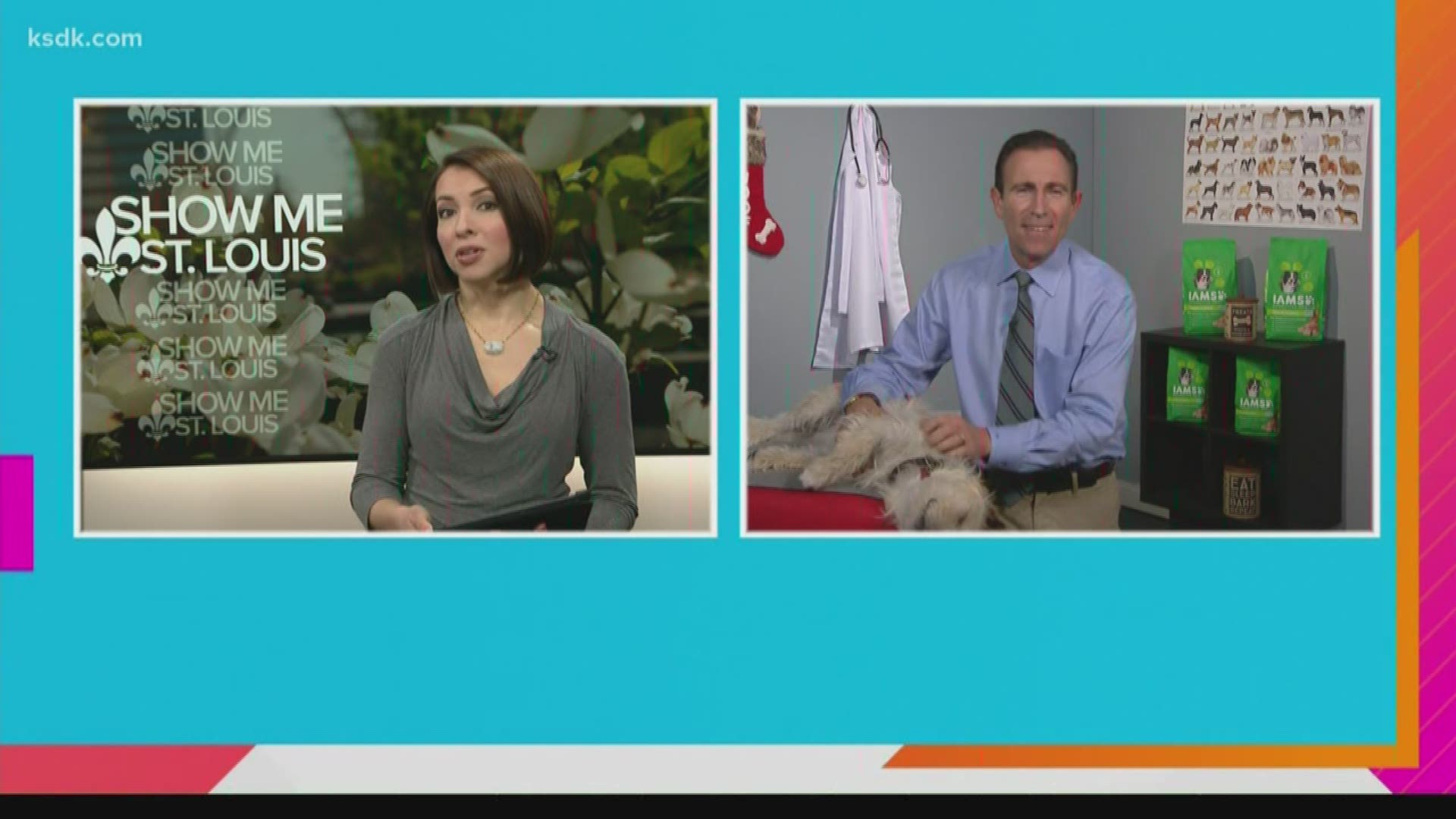 Dr. Werber has some information on how a pet can help you this holiday season, and how you can help your pet in return.