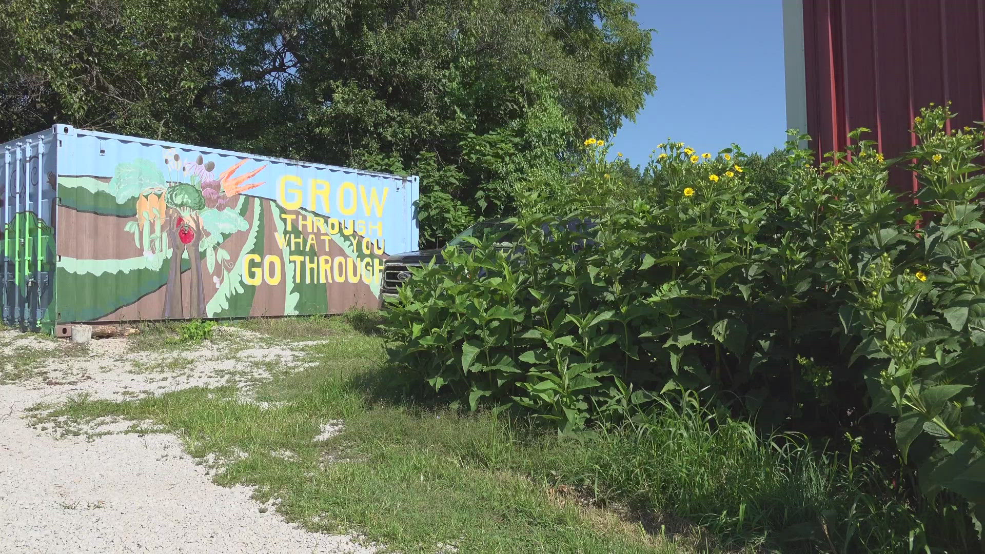 Molly Rockamann and Earthdance Teaching Farm are sprouting up spirits through Food. 500 people have graduated from the farm's garden training program.