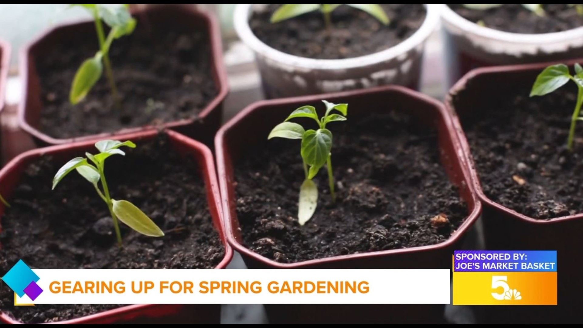 Sponsored Joe's Market Basket offers spring gardening tips